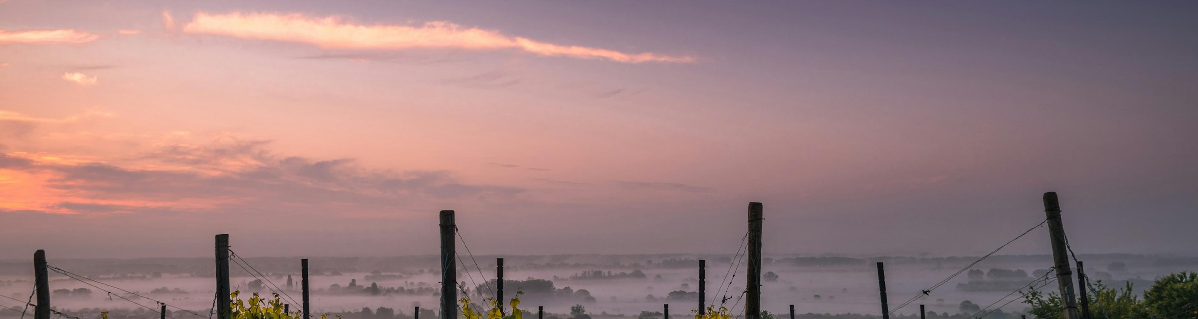 Campagne Saone et Loire, Loire , Rhone, Auvergne Rhone-Alpes, vignobles, patrimoine